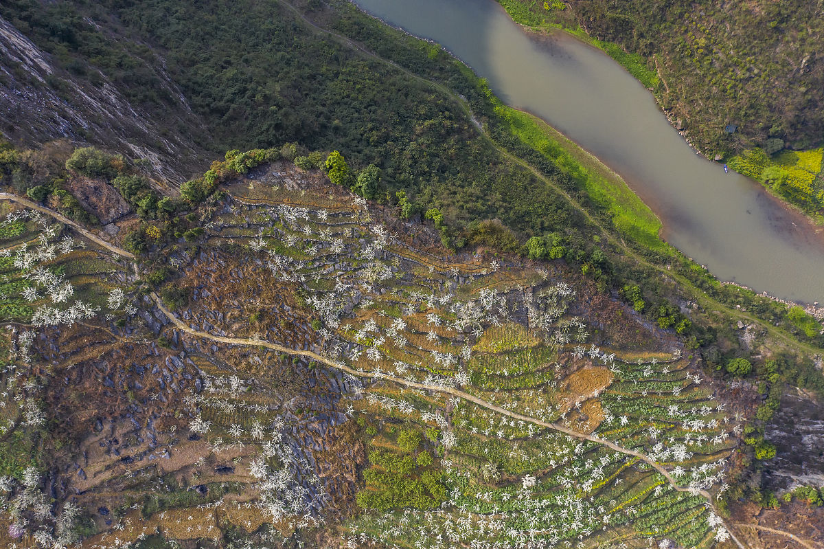 云贵川地区地理、文化、经济异同点研究综述
