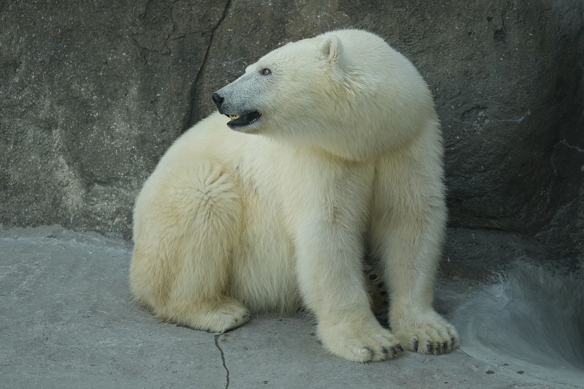 康复治疗学实习出科评价：优点与不足分析