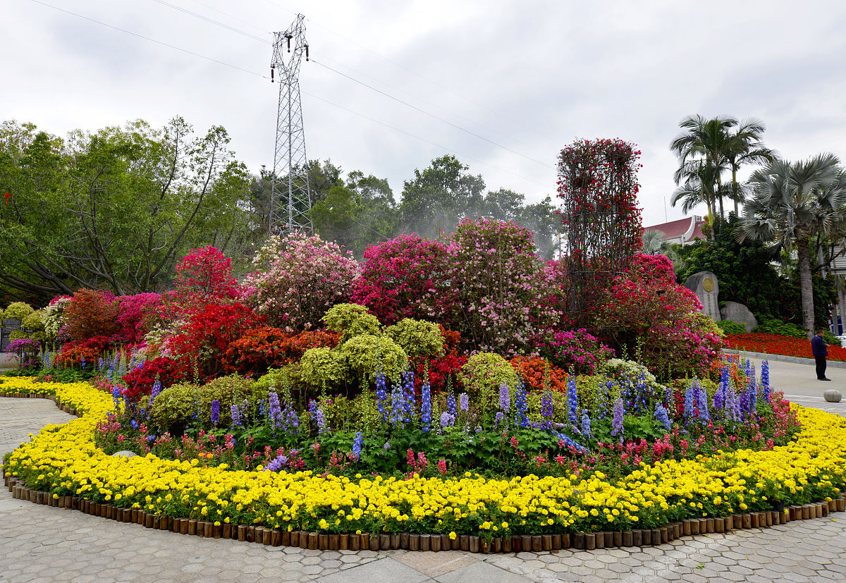 假设让你以夏天为主题做一个花坛长8米宽3米你会怎么布置