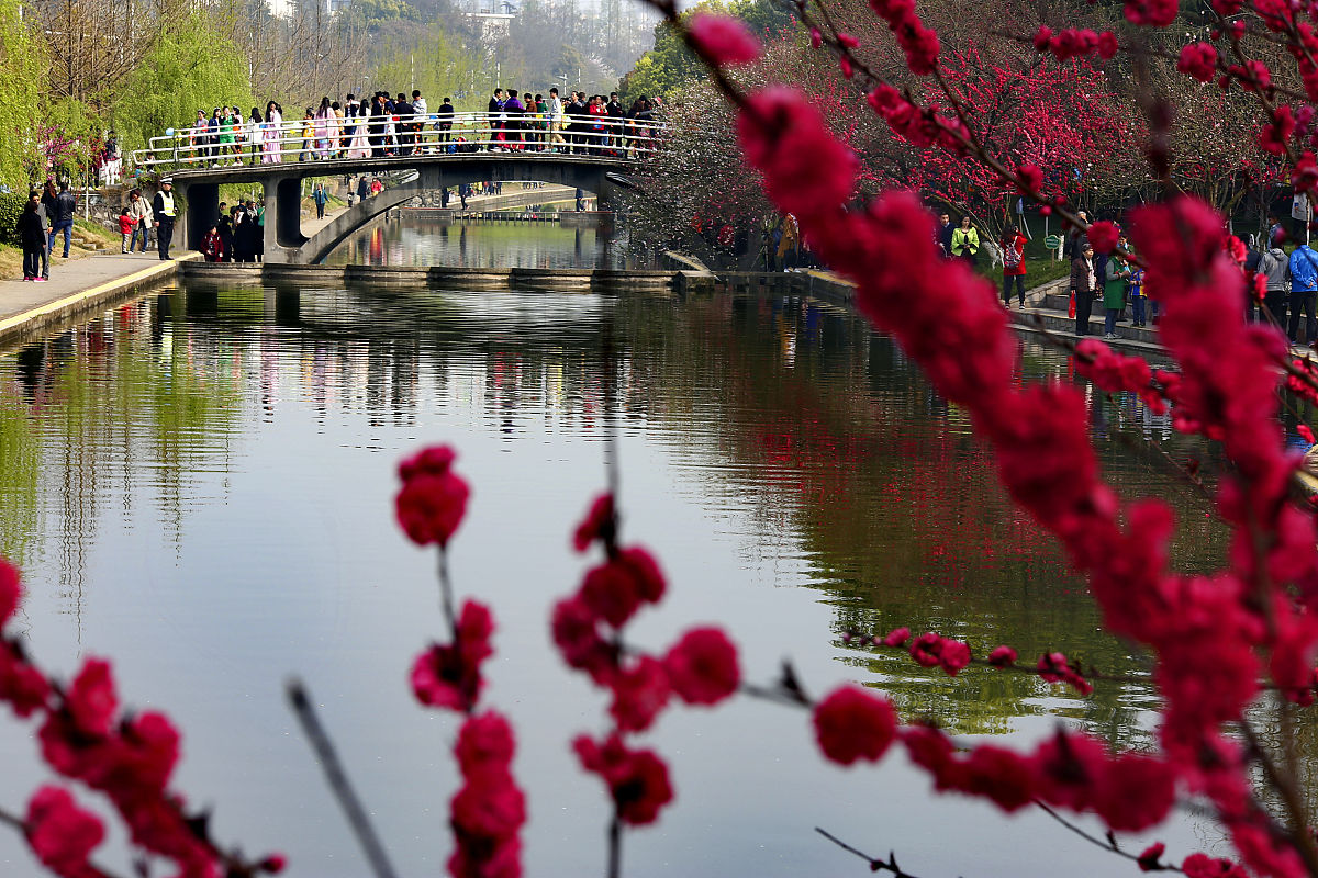 重庆三峡联合职业大学：计算机专业毕业后的工资高吗