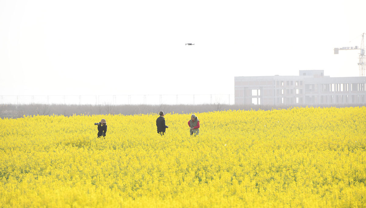 合肥高新科技学校2022年招生简章