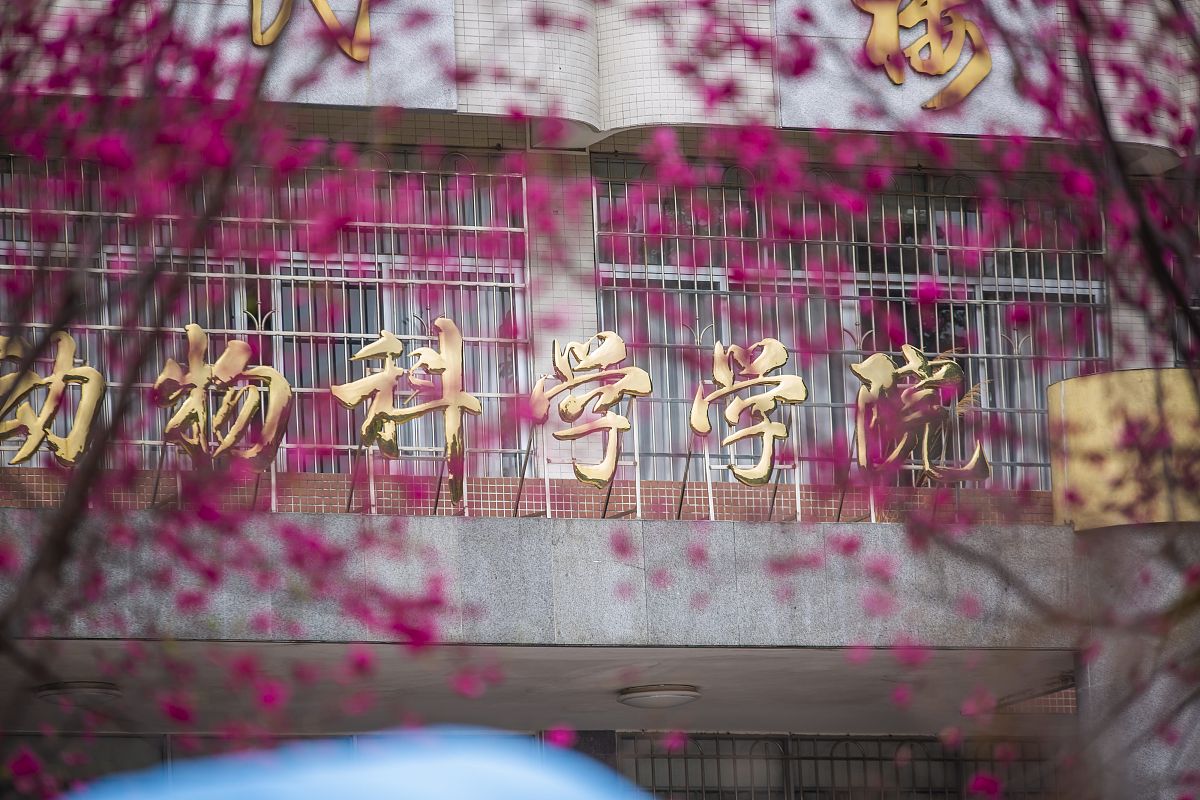 郑州东方艺术中等专业学校2023年地址在哪里