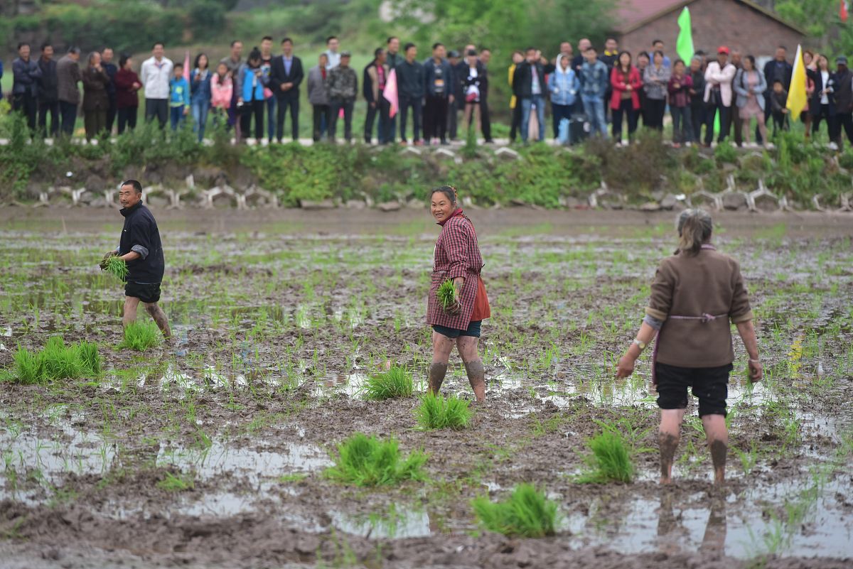 四川农业机械使用与维护专业中专中职学校推荐：就业前景分析