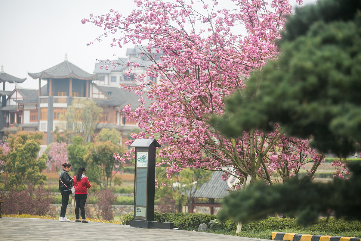 毕节媒体曝光求助热线是多少？ 要求：创建1500字的文章不能出现电话