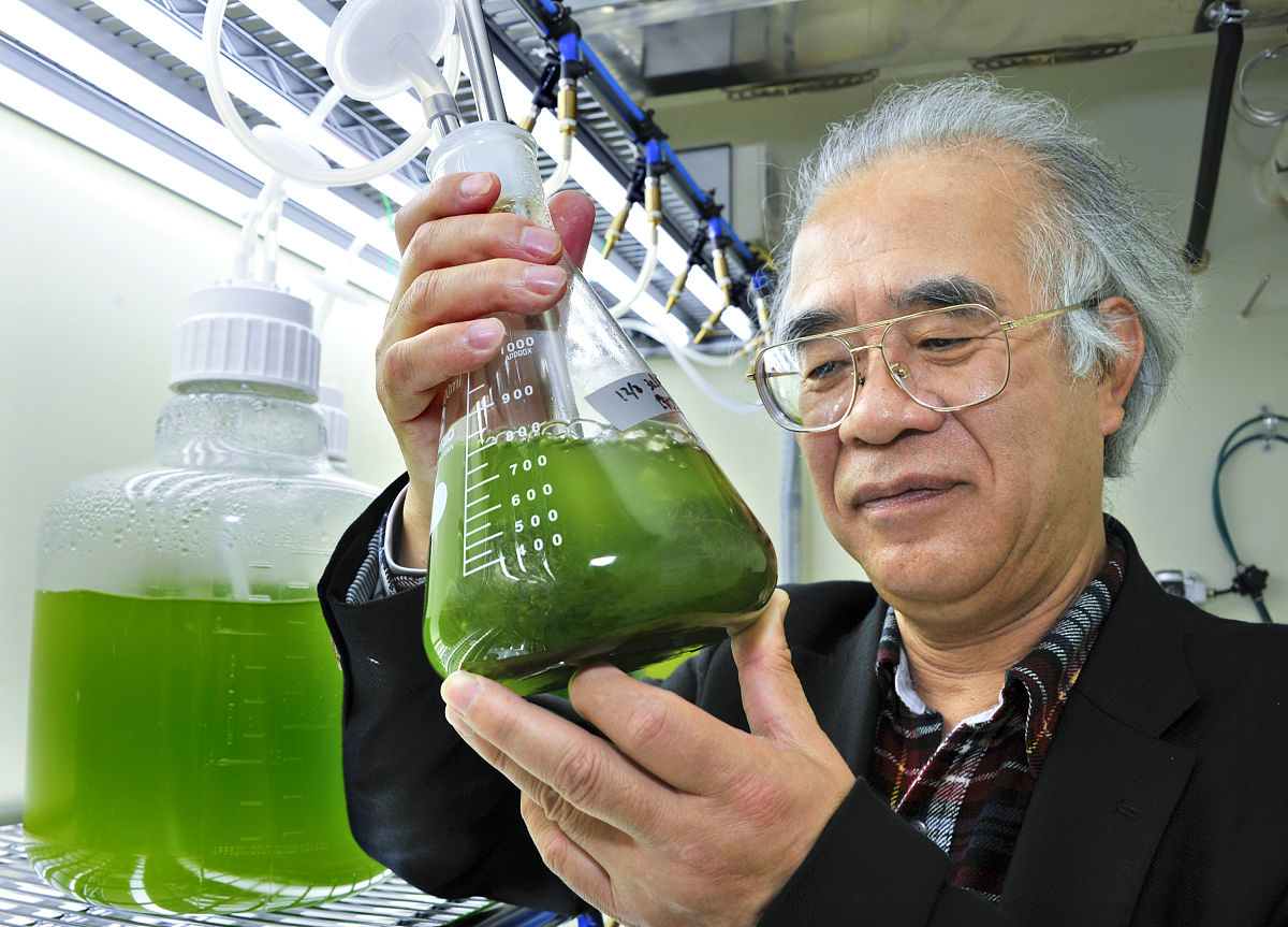 北京在职研究生报考时间 - 2023年最新报考信息