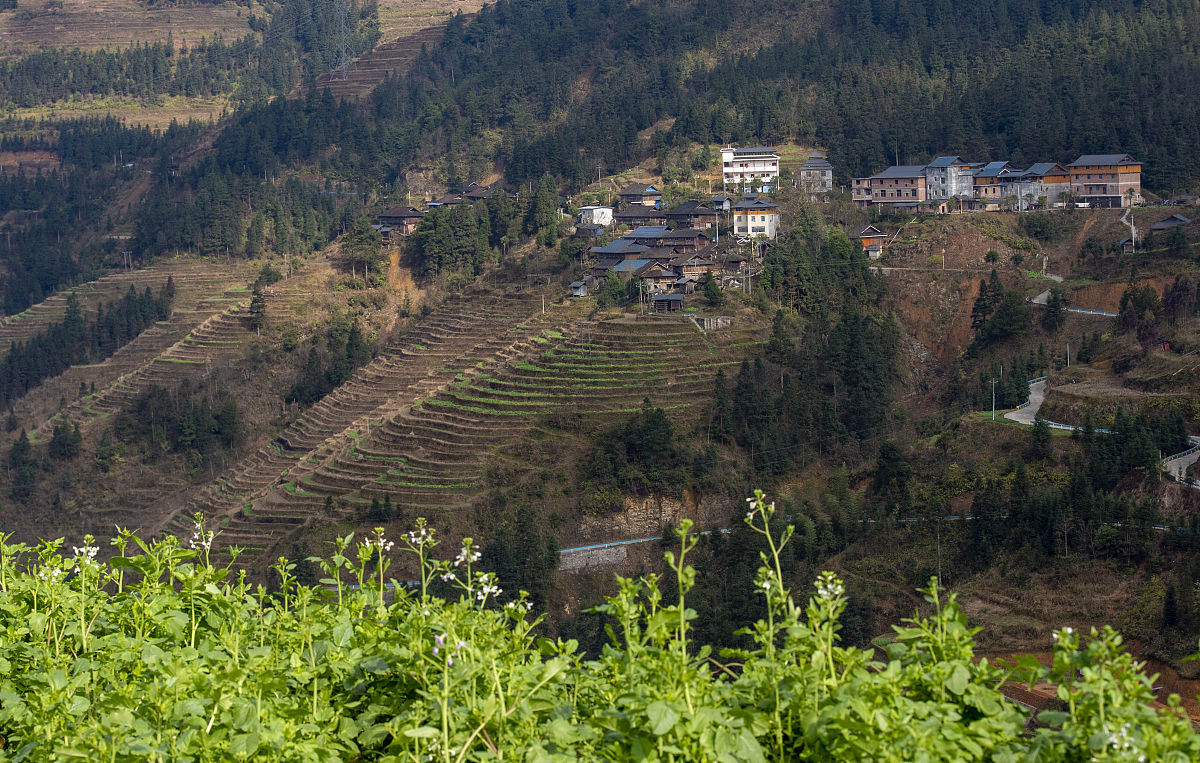 黔东南2022年初中生怎么考卫校