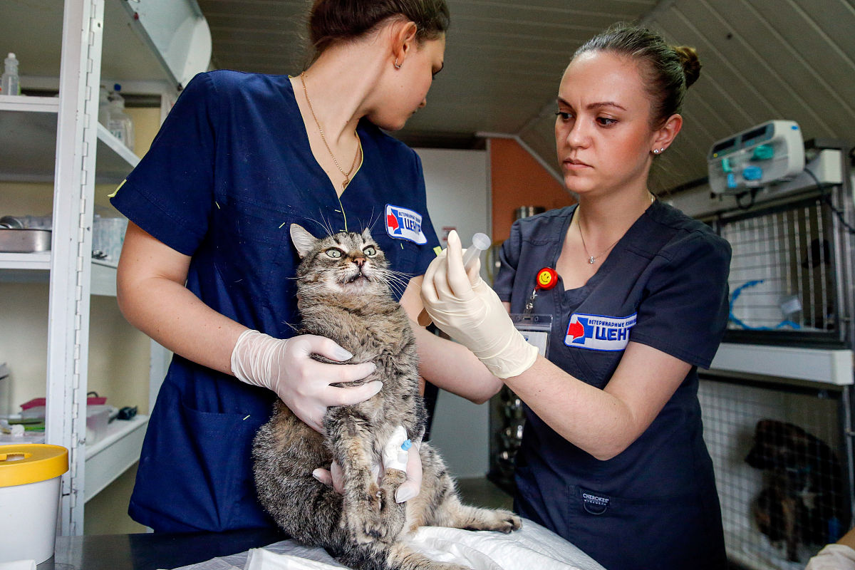 写一篇工程造价实习日志
