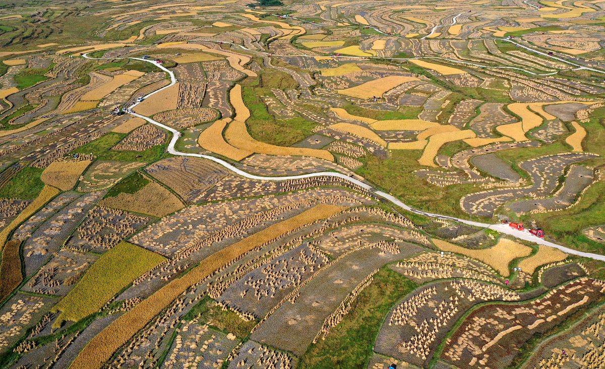 贵阳工具厂技工学校2020年招生简章 - 联系电话、报名方式、课程介绍