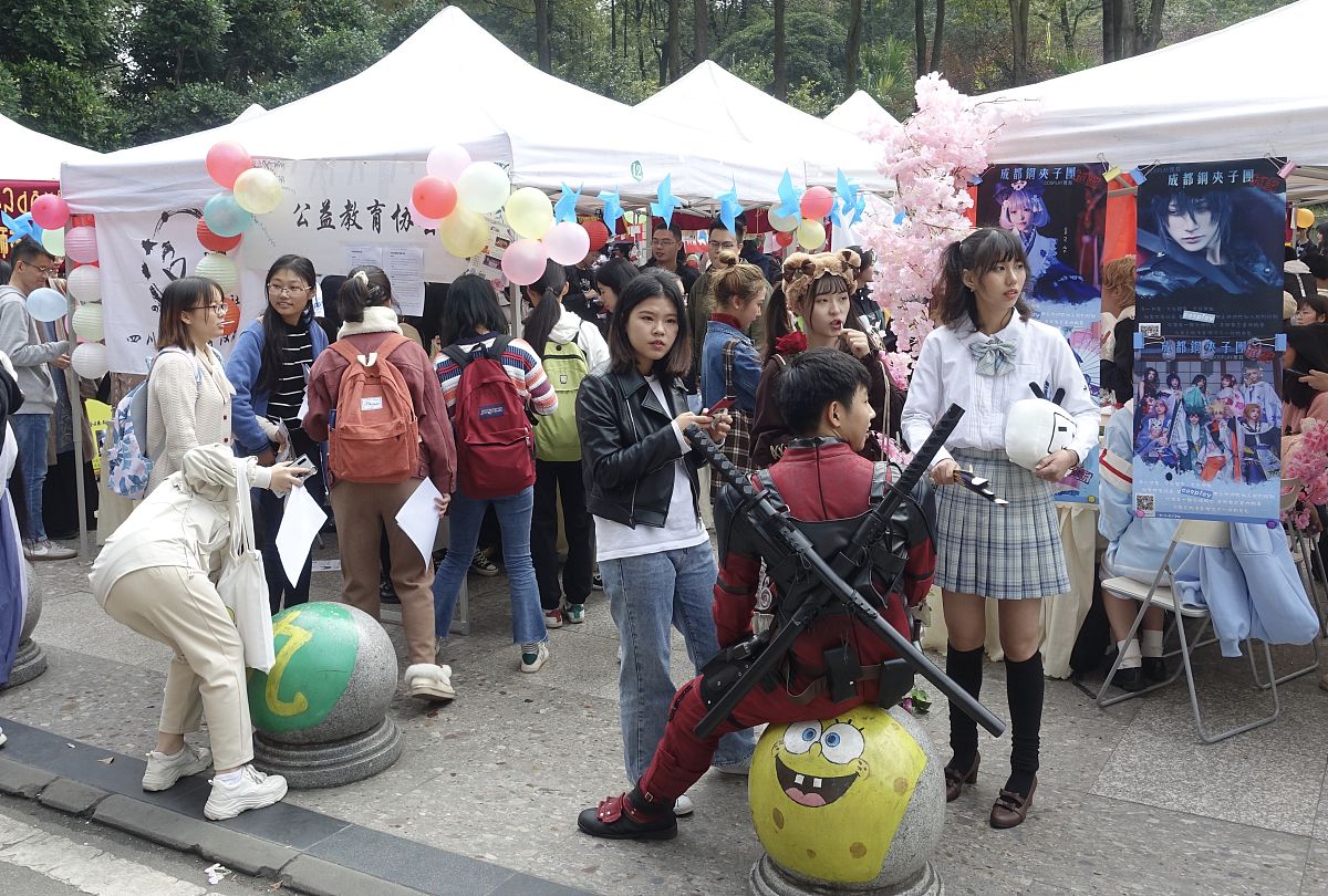 成都幼儿师范学校毕业就业前景分析：职业选择与发展