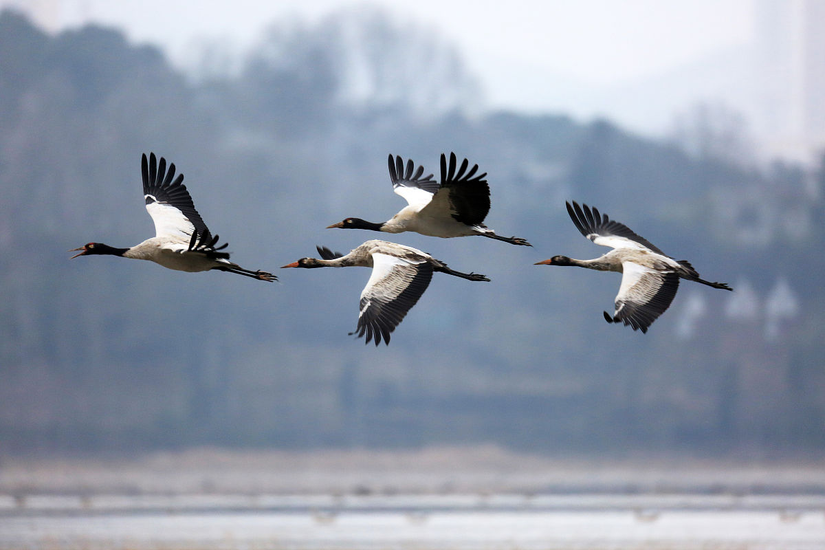 贵州中专学校排名：2022年最新评价