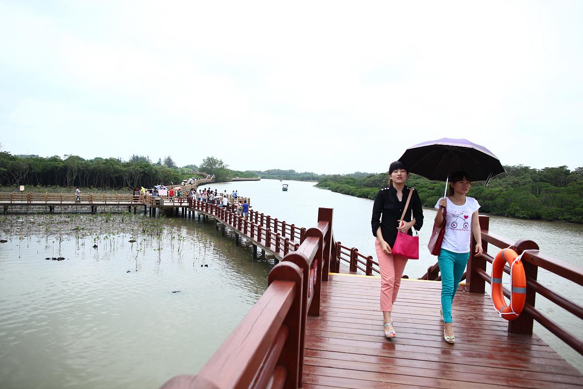 网络文本分析揭示海口旅游目的地形象感知影响因素