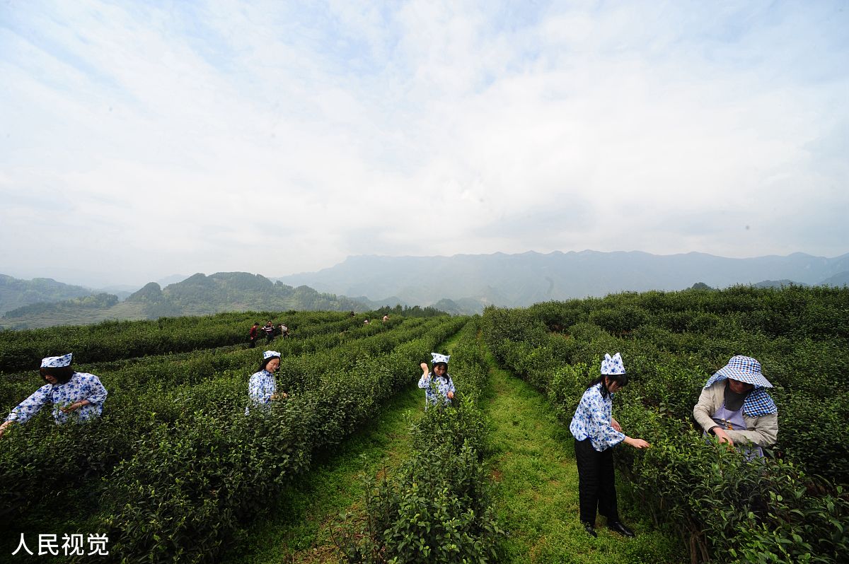 重庆酉阳职业教育中心畜牧兽医专业怎么样？课程设置+就业前景