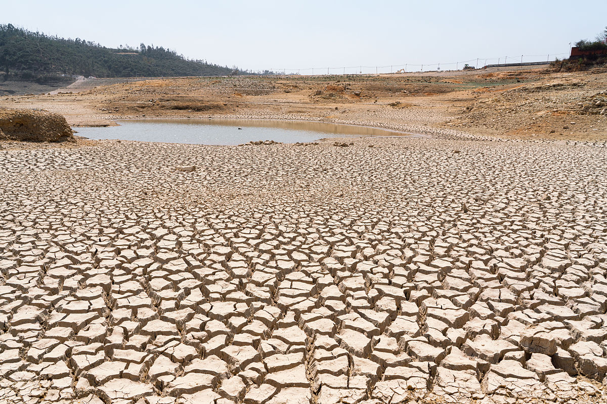 云南曲靖畜牧兽医学校2019年初中起点五年制大专招生专业计划