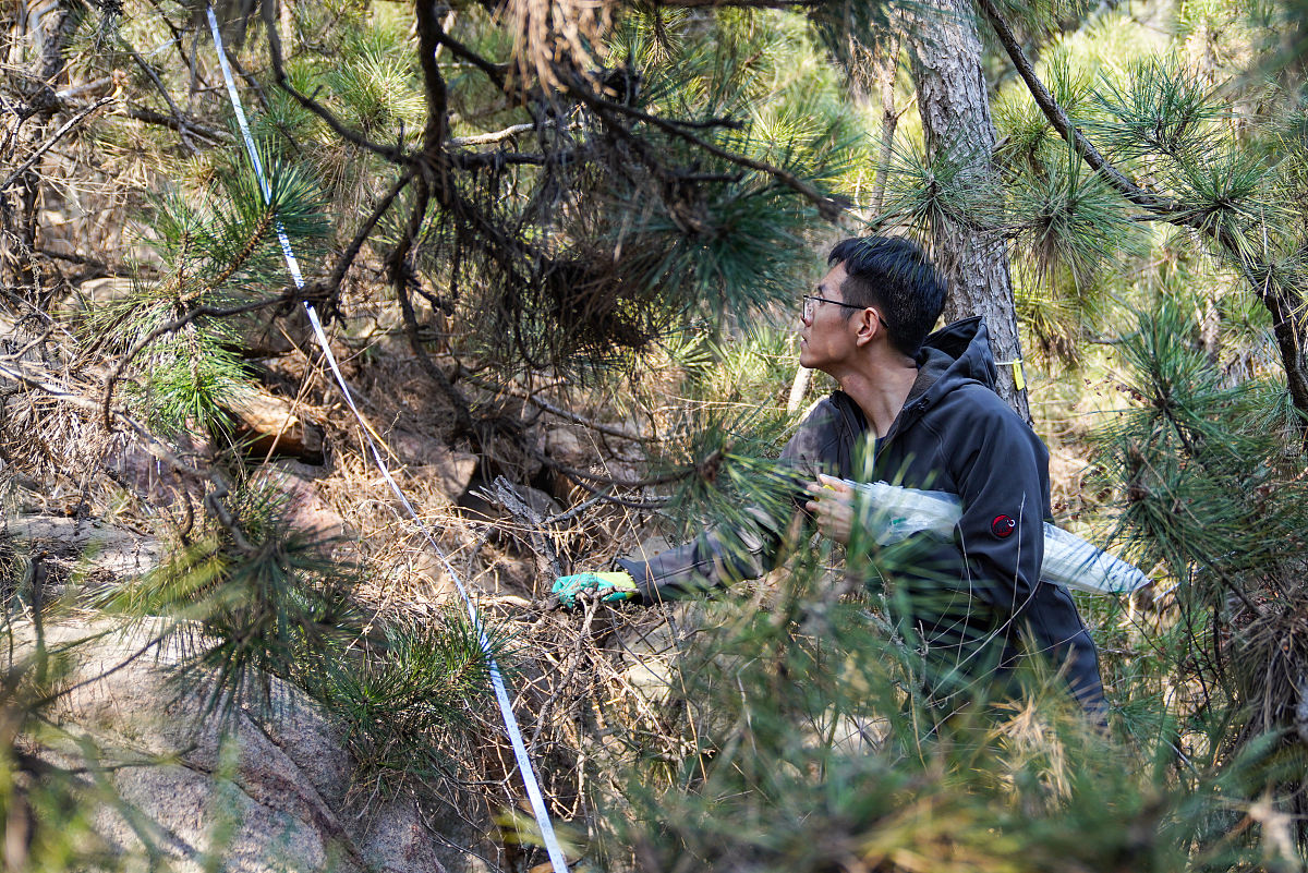 云南林业职业技术学院2019年中专招生专业：开启你的林业梦想