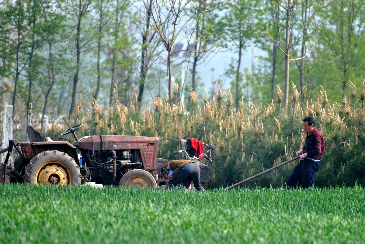 重庆农村机械使用与维护专业哪个学校好