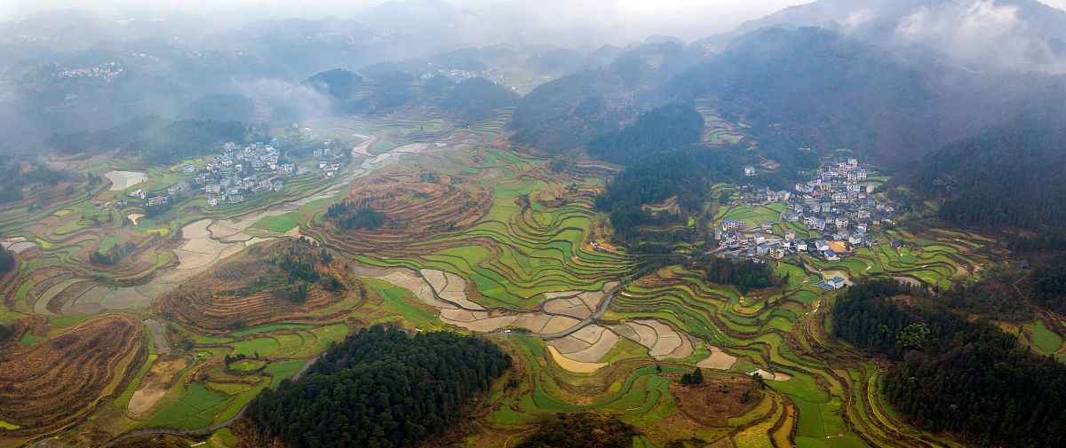 演讲稿内容包括乡村振兴