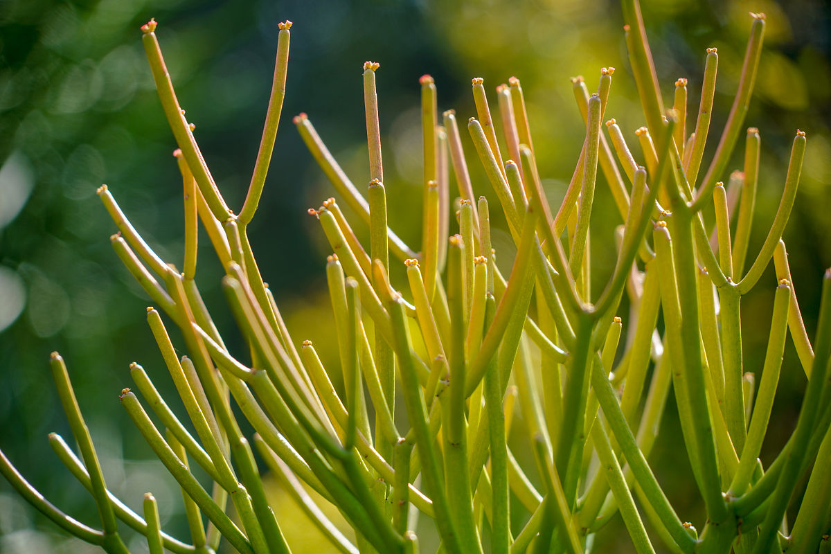 厦门2023中考女生适合的农学类专业有什么