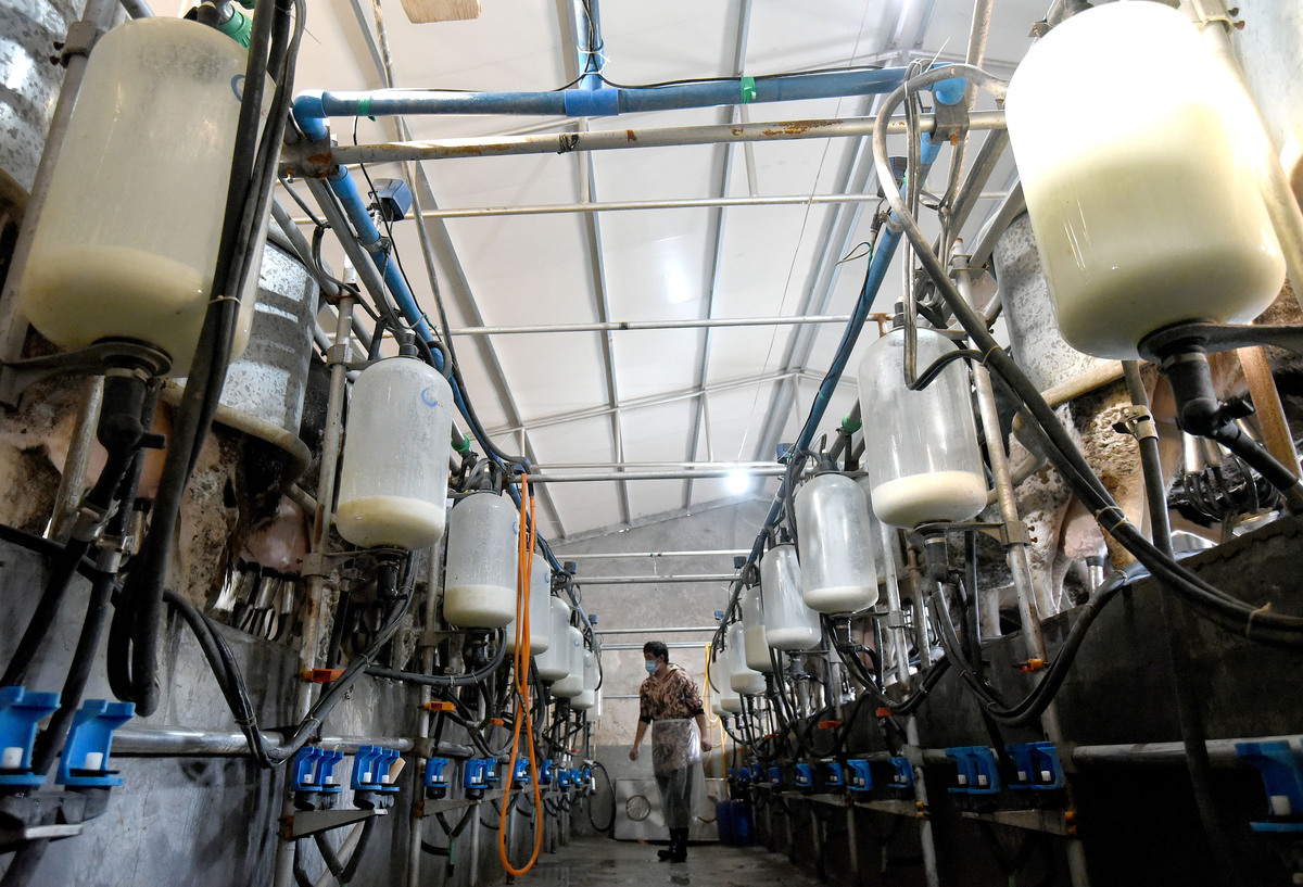2021年11月15日,在河北省邯郸市峰峰矿区界城镇前河庄