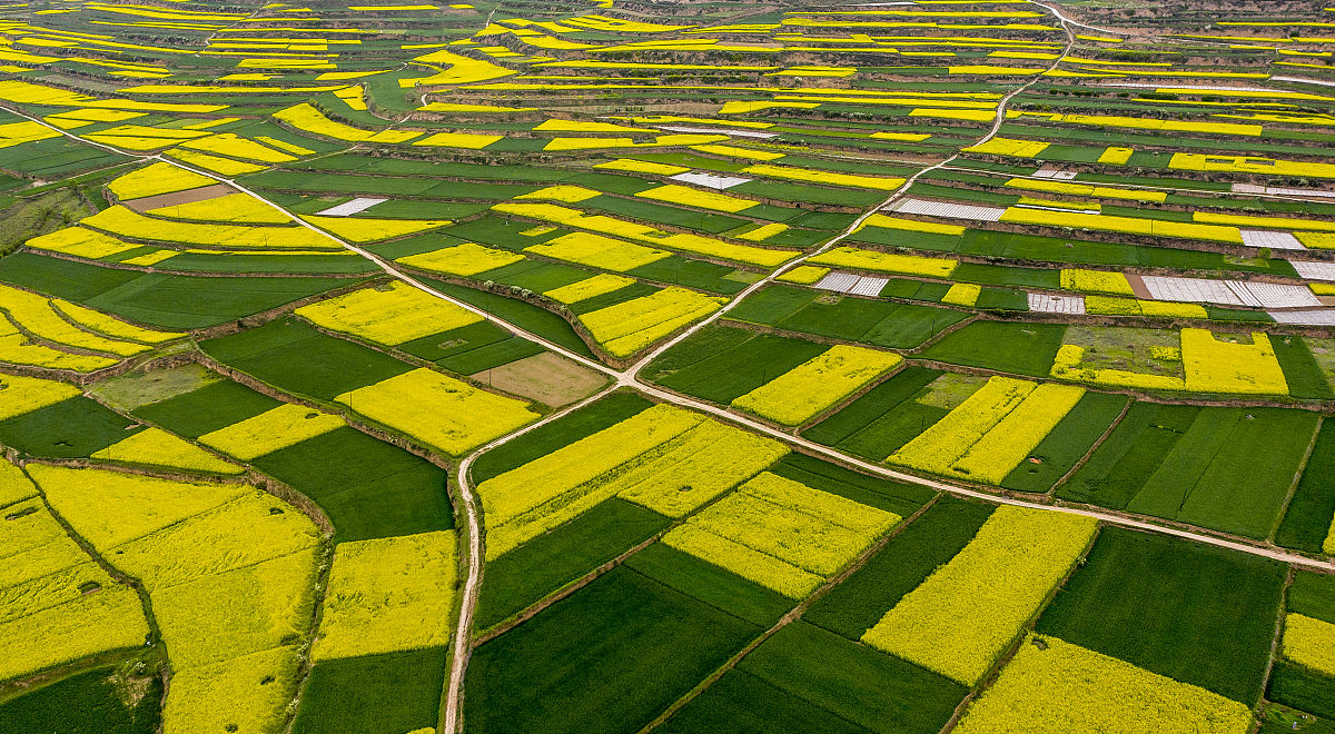 双柏县职业高级中学农学专业招生简章 - 培养农业领域人才，助力乡村振兴