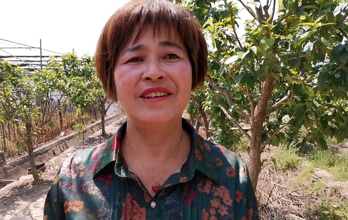 2021年4月10日,四川西昌,谌立英十分担忧,80亩玛瑙红樱桃成熟,产量有1