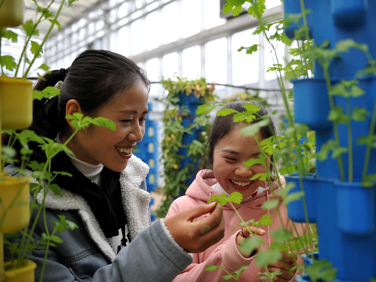 植物保护培养哪方面人才