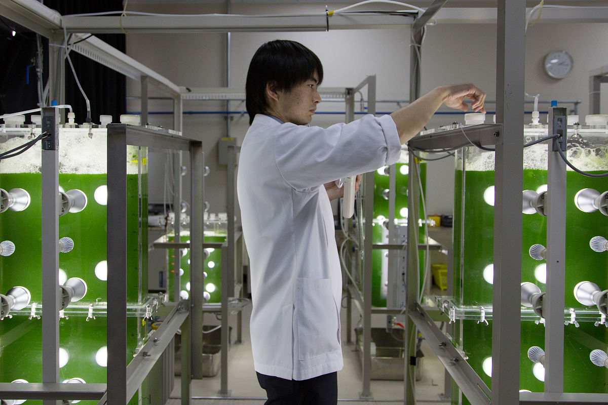 Algal Research-Biomass Biofuels and Bioproducts期刊稿件类型详细介绍