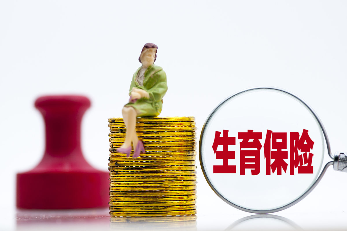 如何投保：一份详细指南