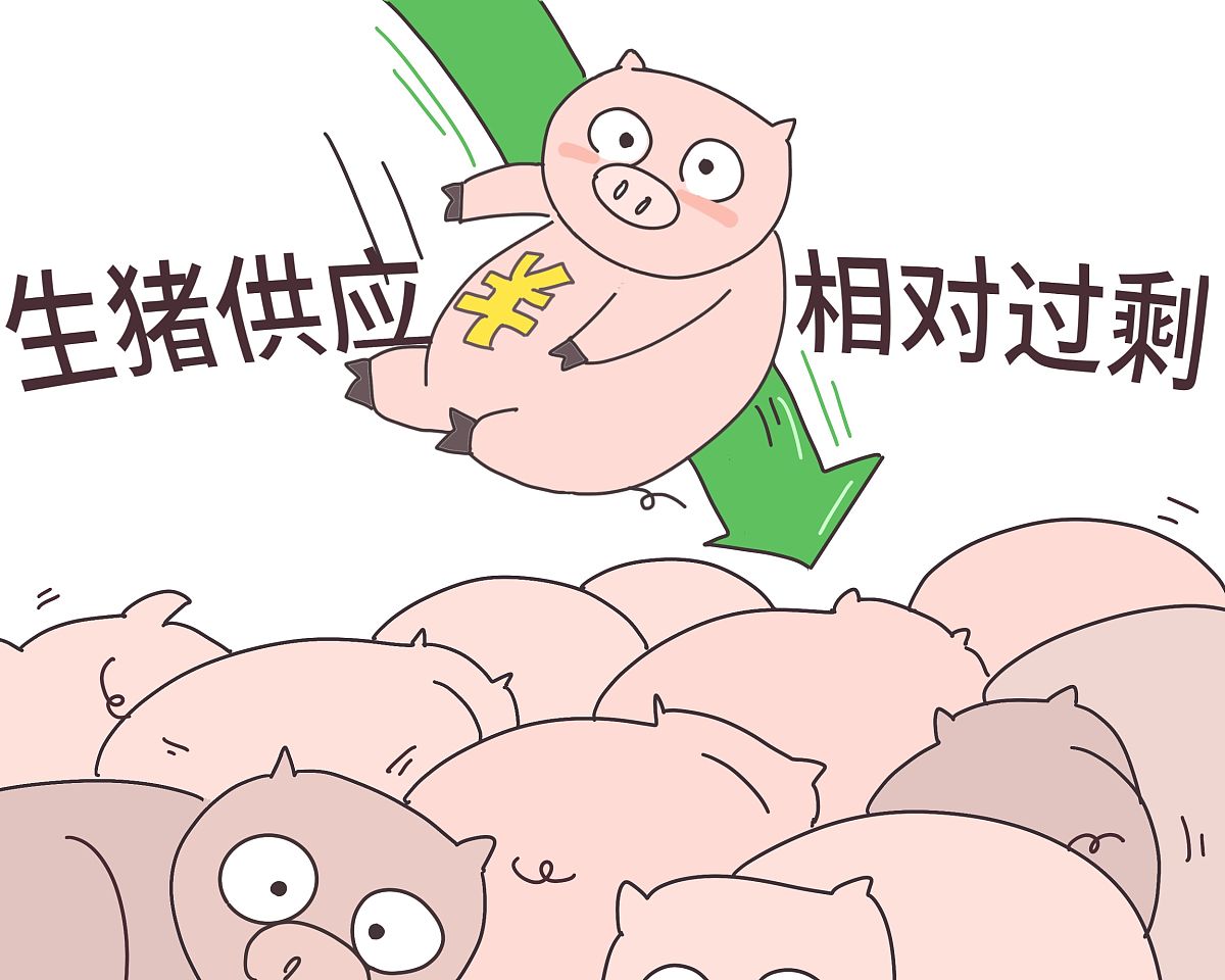 供需结构不平衡的主要表现
