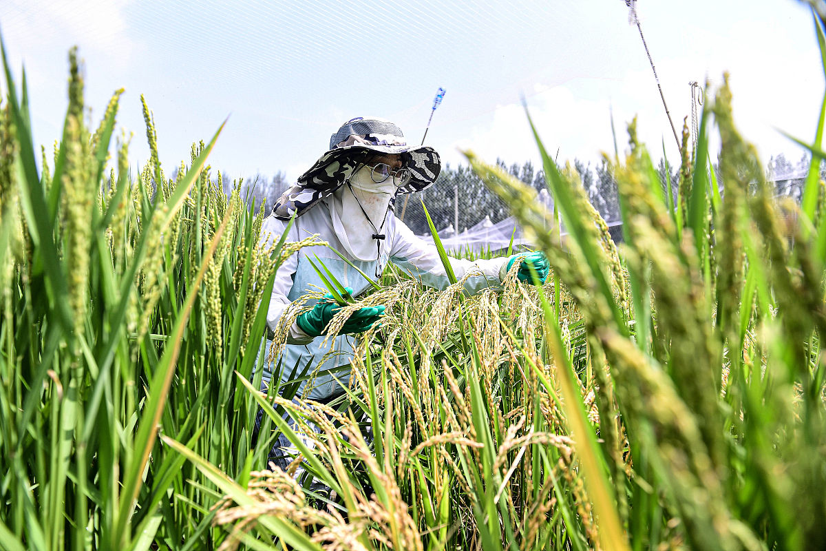 曲靖市农业职业学校2019年大学招生简章 - 培养农业专业人才的摇篮