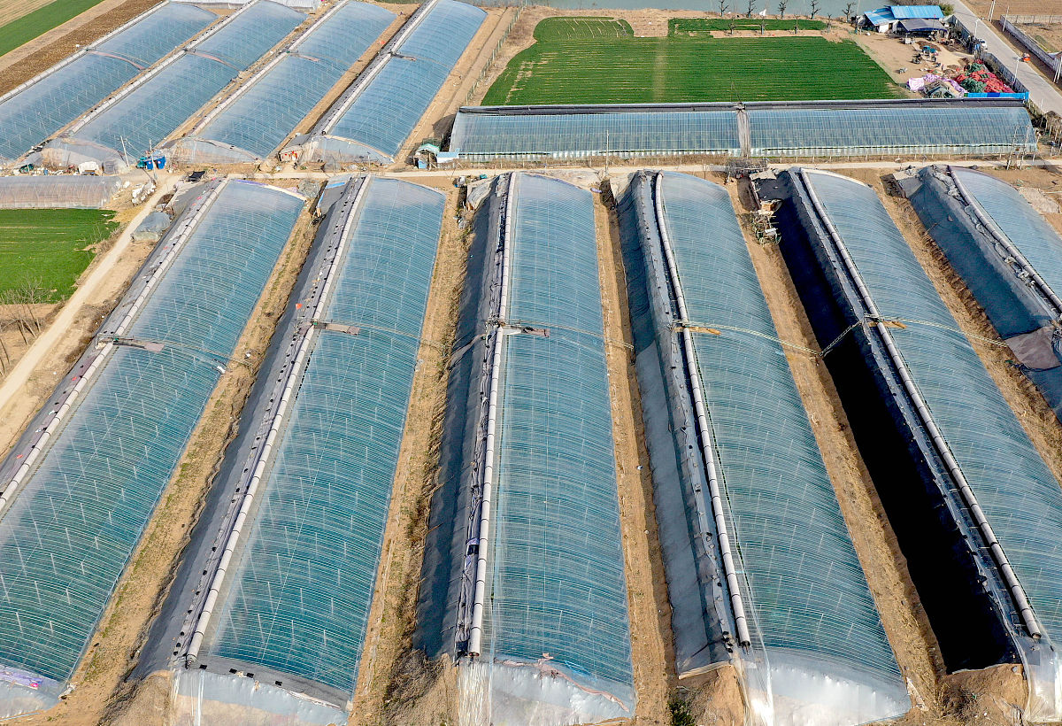 请作为科研人员写一下耐盐碱新品种示范推广与基地建设的主要研究内容