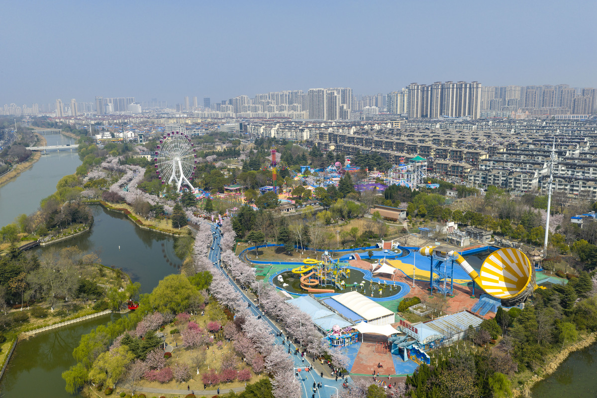 2026年3月29日,江苏淮安,樱花园全长1099米的樱花大道