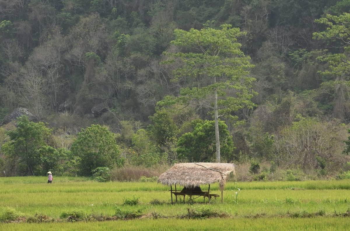 回归自然，寻找宁静：《一个人的村庄》展现朴素本真之美