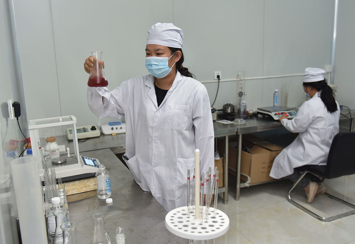 生物工程专业实习报告：天然产物提取、微生物发酵、啤酒与葡萄酒生产、药品研发等实践体验