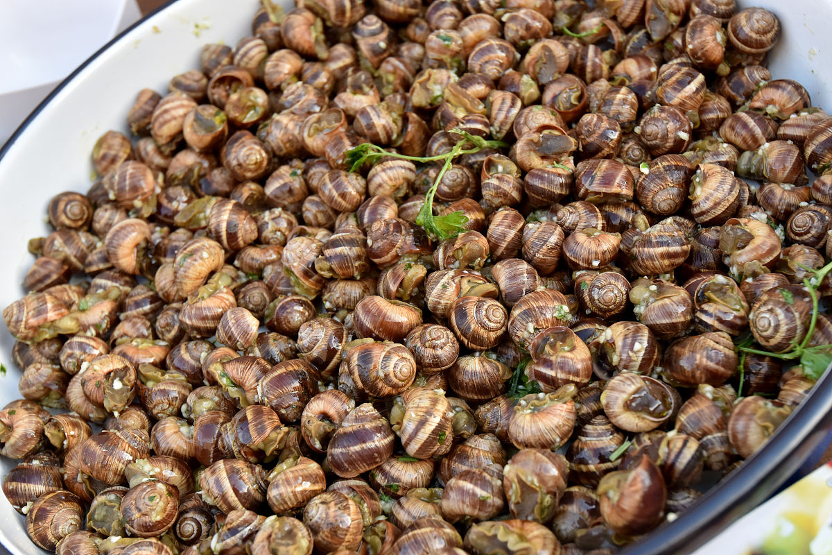 陕西旅游烹饪职业学院家政服务专业：就业前景、招生条件及学生所需素质