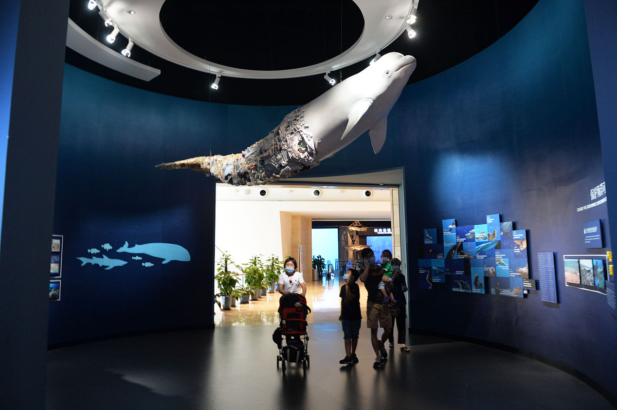 海洋艺术文化与设计专业：未来发展趋势与机遇