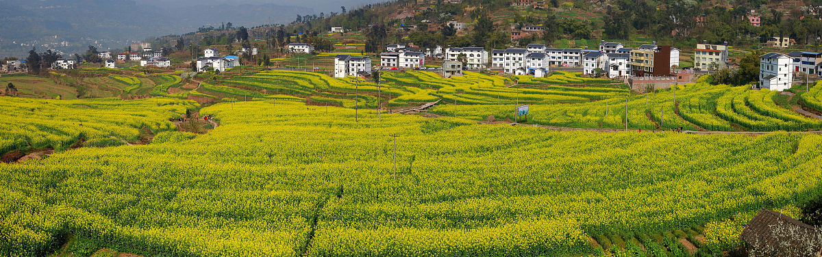 曲靖农业学校官网2019年五年制专科招生简章