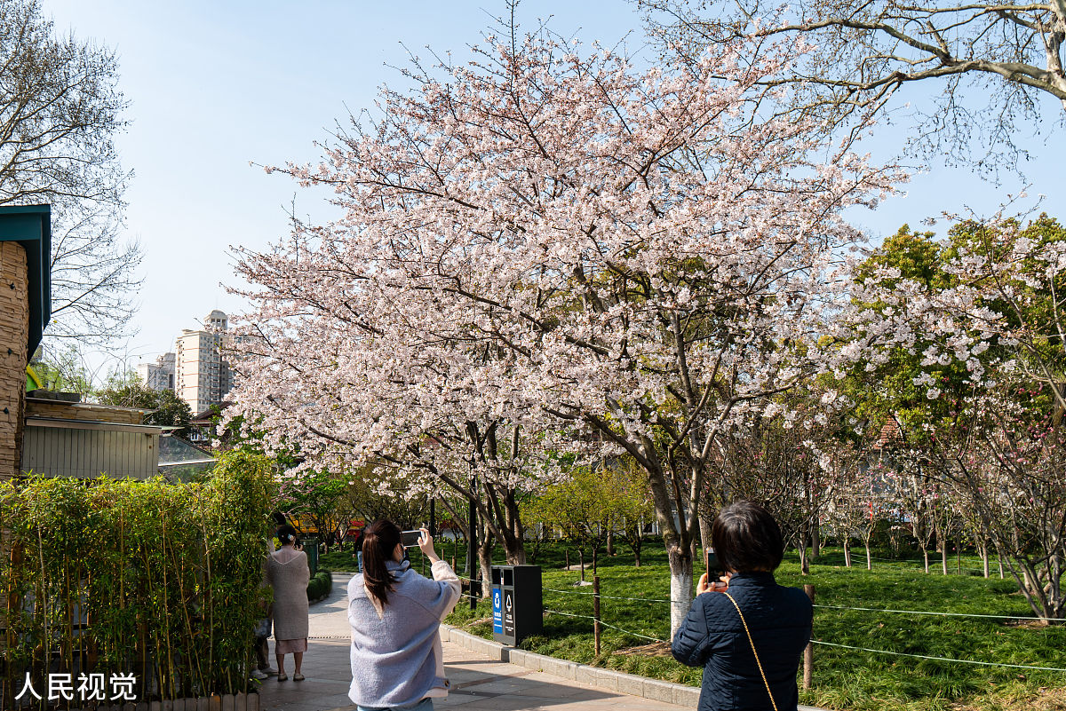 2020年3月23日,上海,有着"最美地铁口"之称的地铁8号线虹口足球场外的