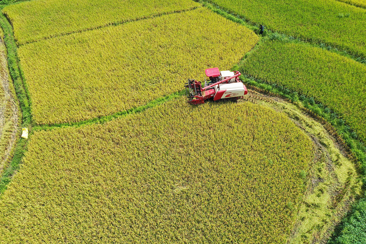 湖南女子学院2022年招生简章 - 报名时间/考试时间/招生计划