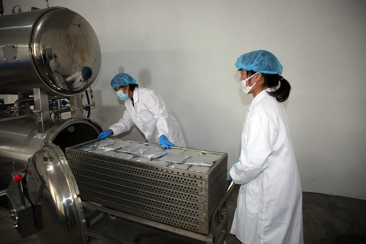 工业发酵接种取样安全规范：保障生产安全和产品质量
