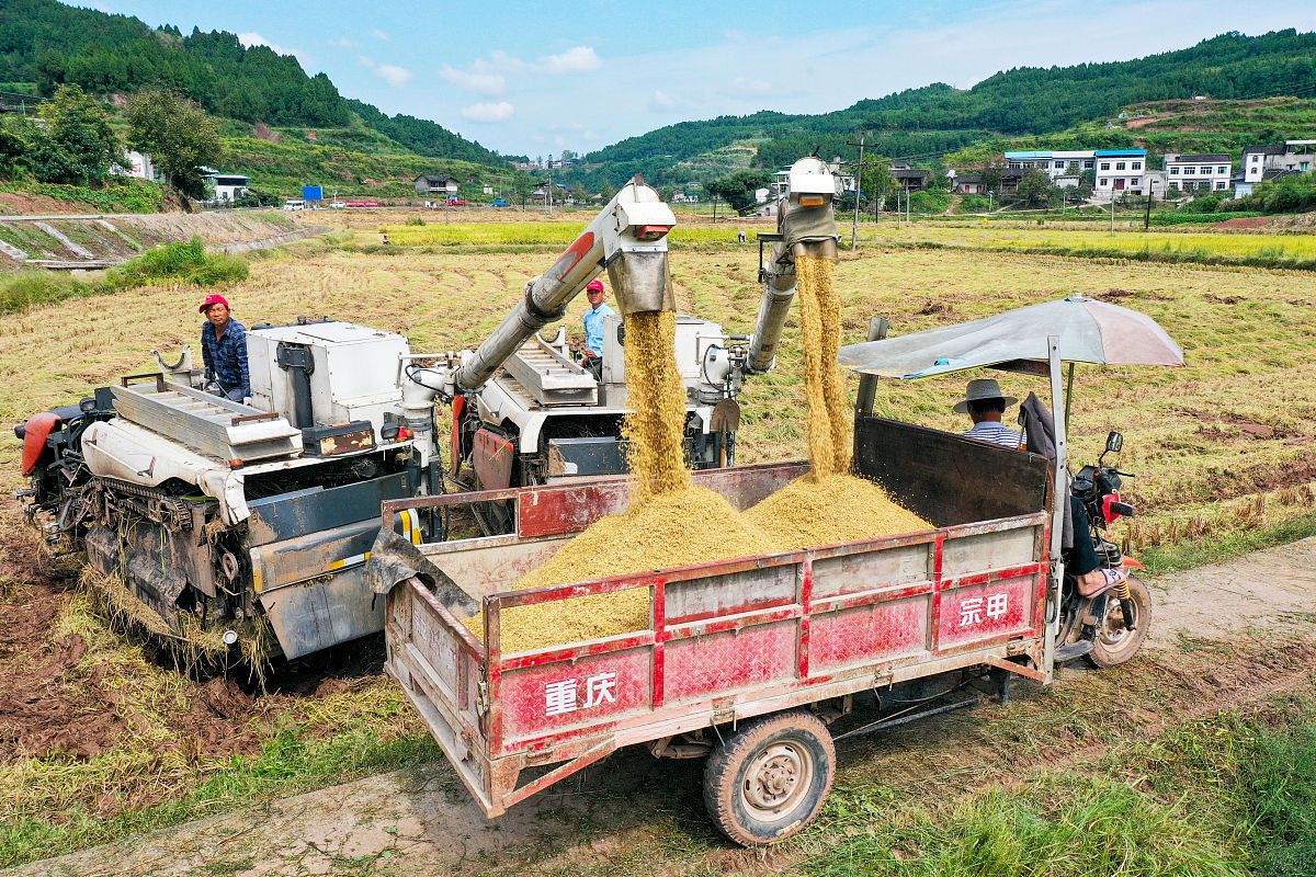 关于南充水利收购流程是什么字