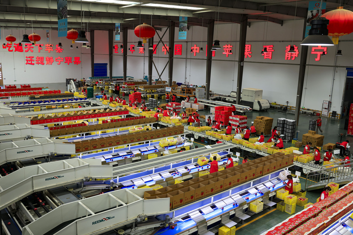 保税区参观实习报告：促进贸易便利化，推动经济发展