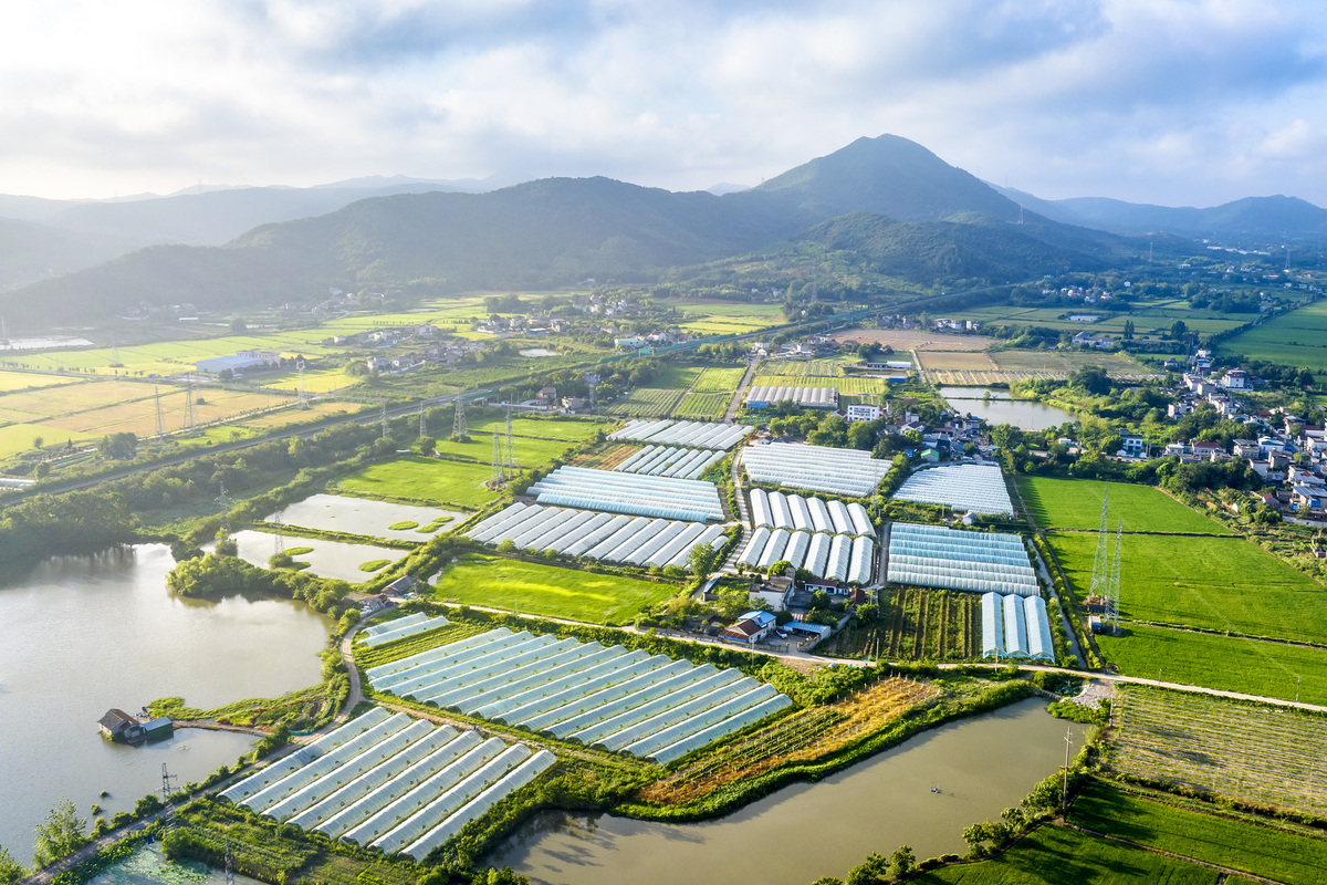 近年来英山村紧紧围绕党建+股田制行动推动村域经济发展取得了实实在在的成效。一、党建+股田制战略落地促进村域经济发展作为省定经济薄弱村英山村依托股田制积极推进生态循环农业试点村创建工作协同牧原打造绿色生态有机观光农业创建中国好粮油生产基地推动村域经济发展。截至2022年全村实施1200亩股田制建设仓储基地1个全村土地专业合作社实现收益分红80万元上下游产业链带动农户400余户带动比例50、2100余