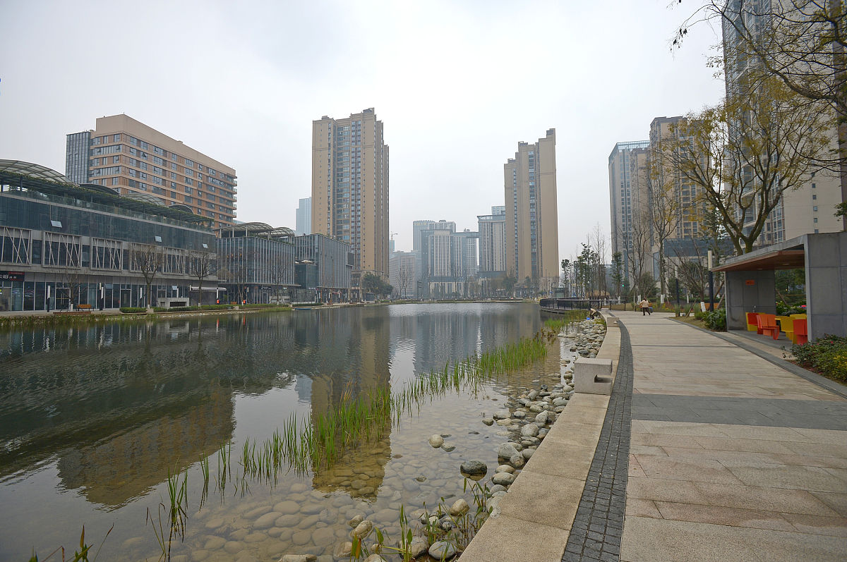2019年1月3日,成都,高新区月牙湖.(如下载使用,请务必署名红星新闻 王