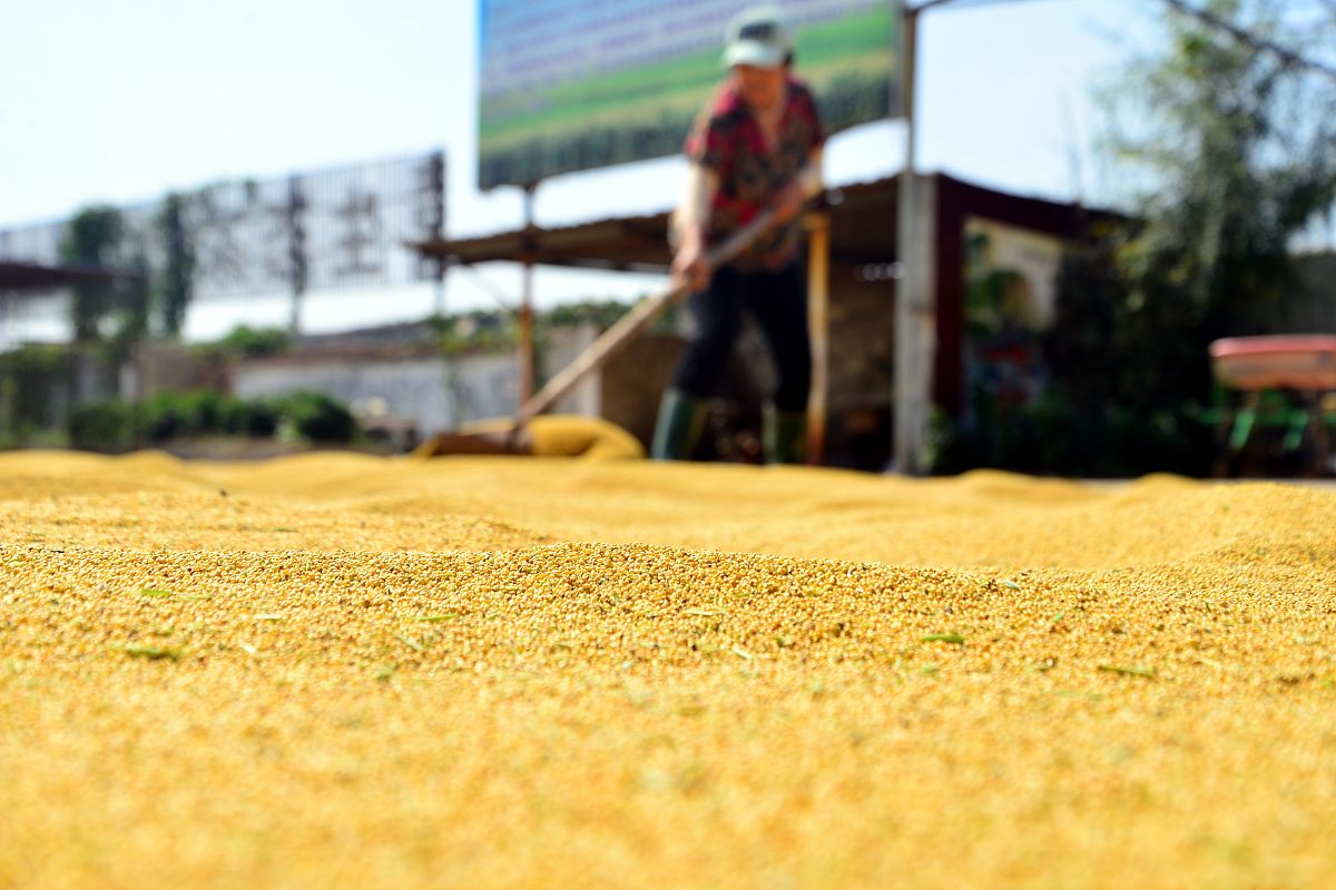 山东商务职业学院粮食工程技术专业就业前景如何