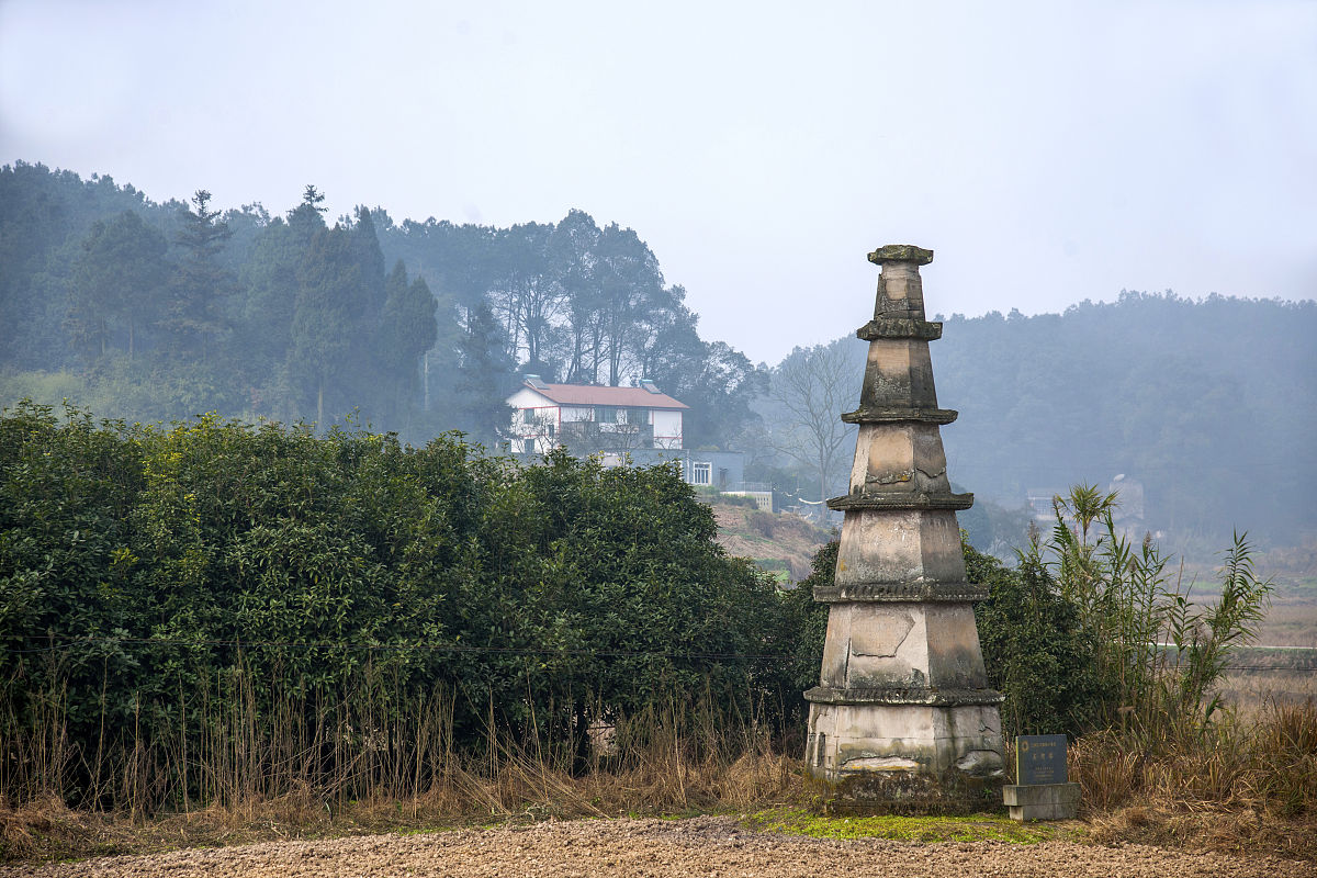 重庆旅游职业学院移动商务专业要学什么