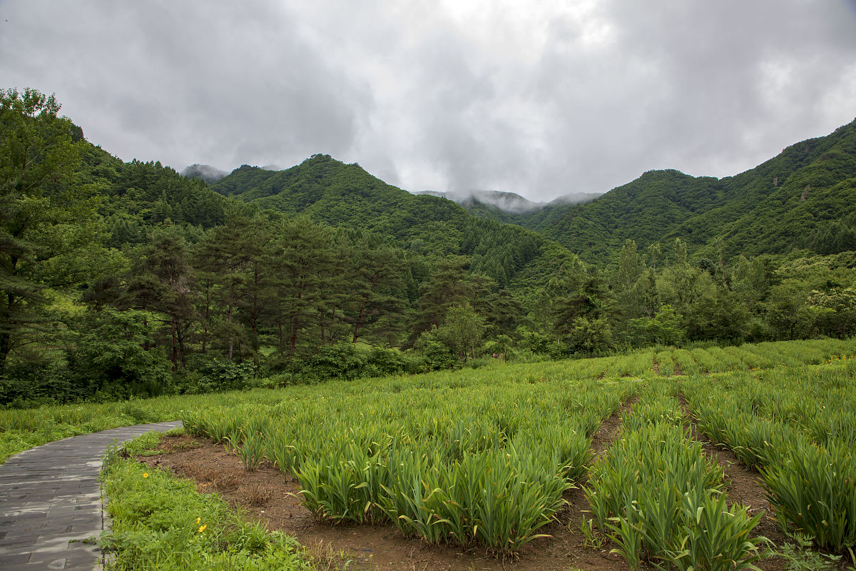 2021年7月4日,吉林省通化市集安市,<strong>丸</strong>都山城景区.