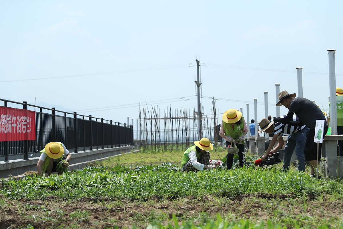 辽宁铁道职业技术学院2021年住宿费多少？