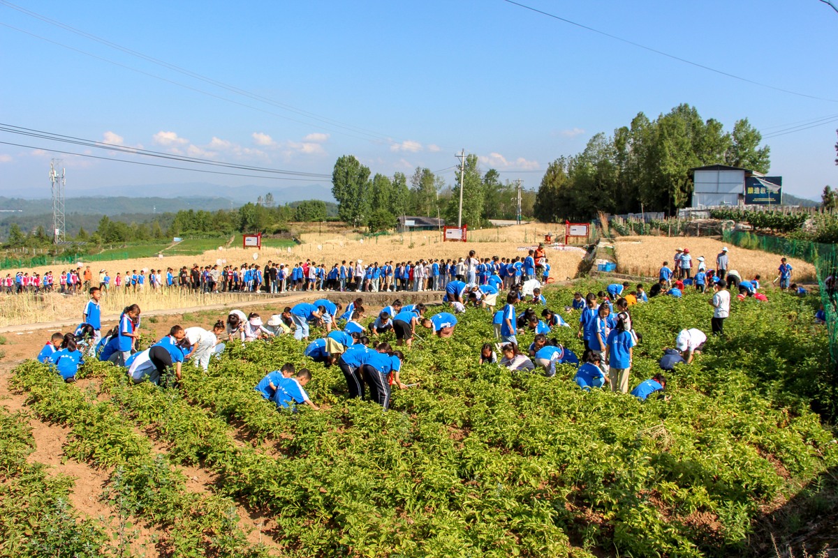红河州农业学校：农业教育资源丰富，培养未来农业人才