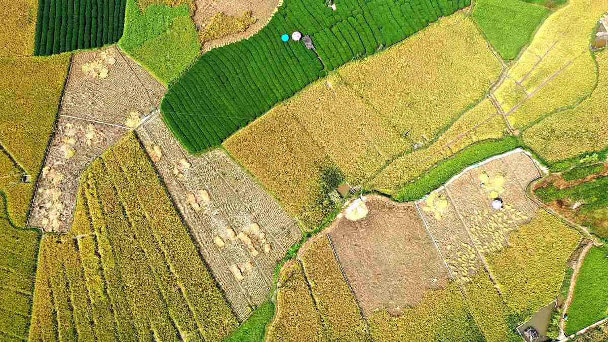 湖南轻工高级技工学校招生办联系电话