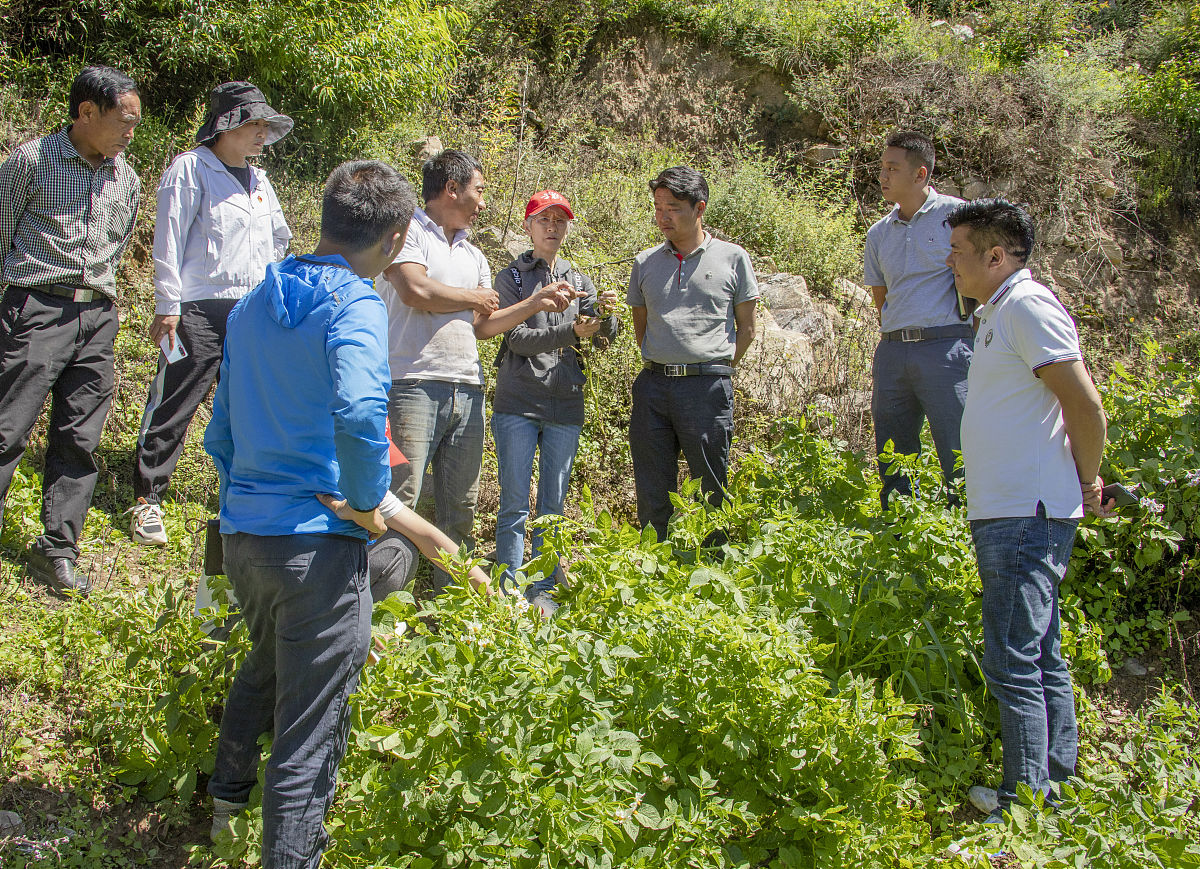 四川凉山农业学校2019年招生简章 - 培养优秀的农业人才